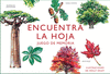 ENCUENTRA LA HOJA (JUEGO DE MEMORIA)