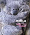 LOS ANIMALES MS BONITOS DEL MUNDO
